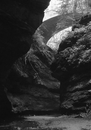 Leading: Canyon in Turkey Run State Park