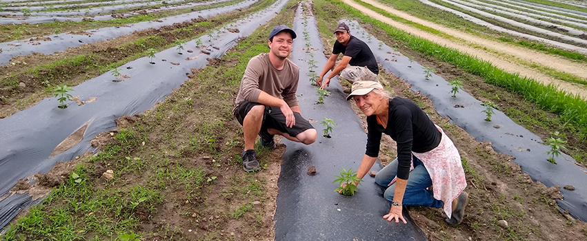 Vicki ImOberstag with sons Luke and Paul ImOberstag planting the last of 7,000 seedlings by hand