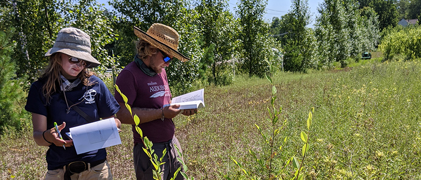 Larson and Dane McKittrick conducting a plant census at Sun Dappled Farm.