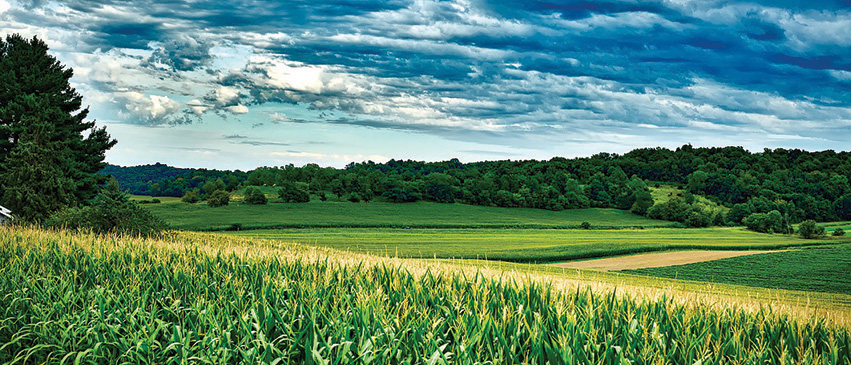 More than 105,000 acres of corn were harvested last fall in Peoria County.