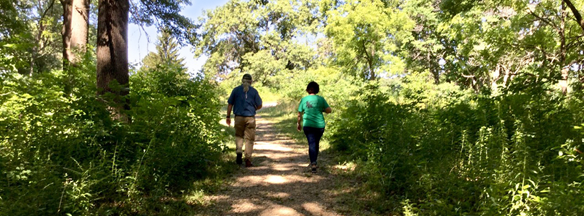 Walking in the woods