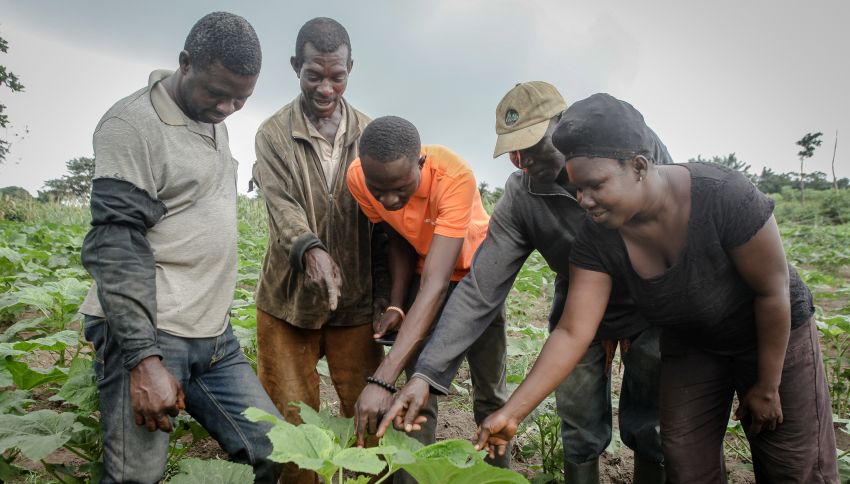 In a previous role, Jackson worked with smallholder farmers in Ghana to help them use technology to identify crop diseases.