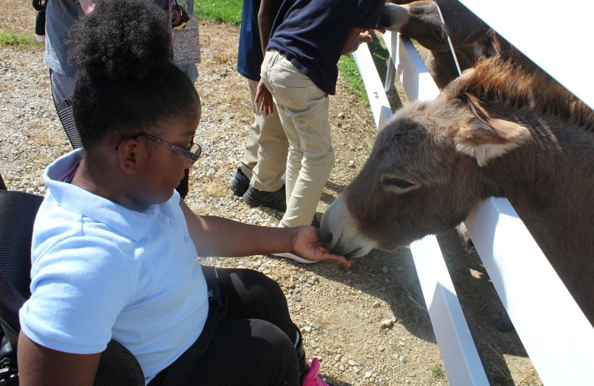 Blue Ridge Community Farm