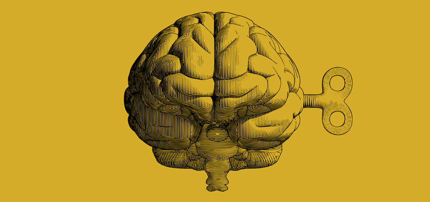 Line drawing of a brain