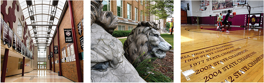 Hallway with a arched glass ceiling, Lion sculptures andgym floor